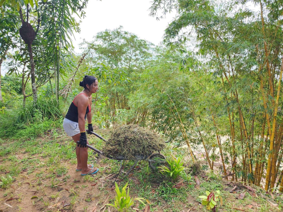 Covering the blank land with grass